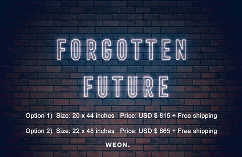 Custom Neon Sign ( Forgotten Future )